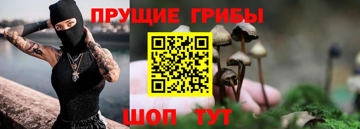 купить наркотик  Вход с VPN  Каменск-Шахтинский  Галлюциногенные грибы MAGIC MUSHROOMS 
